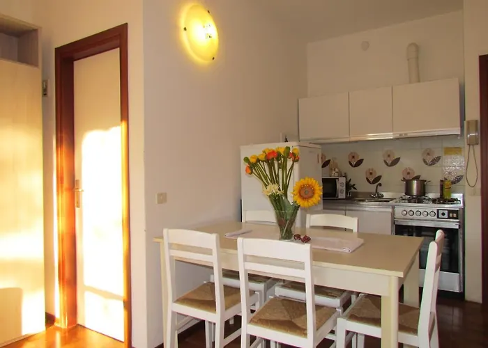 Mediterranea * 비비오네